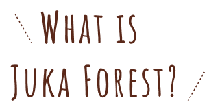 What is Juka Forest?